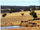 Lot 100 Boyup Brook – Arthur Road, Dinninup WA 6244