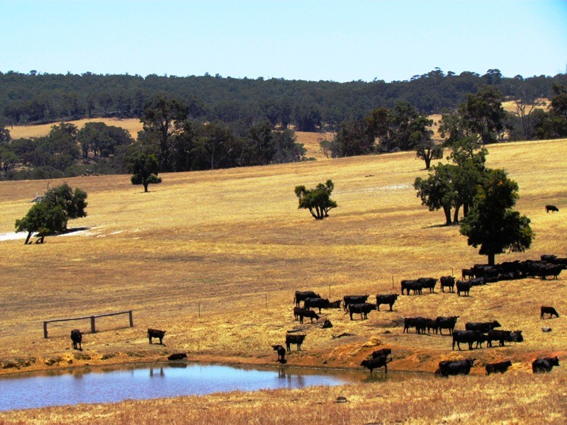 Lot 100 Boyup Brook – Arthur Road, Dinninup WA 6244