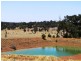 Lot 100 Boyup Brook – Arthur Road, Dinninup WA 6244