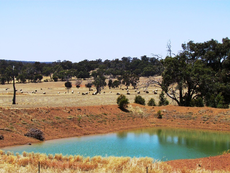 Lot 100 Boyup Brook – Arthur Road, Dinninup WA 6244