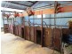 Lot 100 Boyup Brook – Arthur Road, Dinninup WA 6244