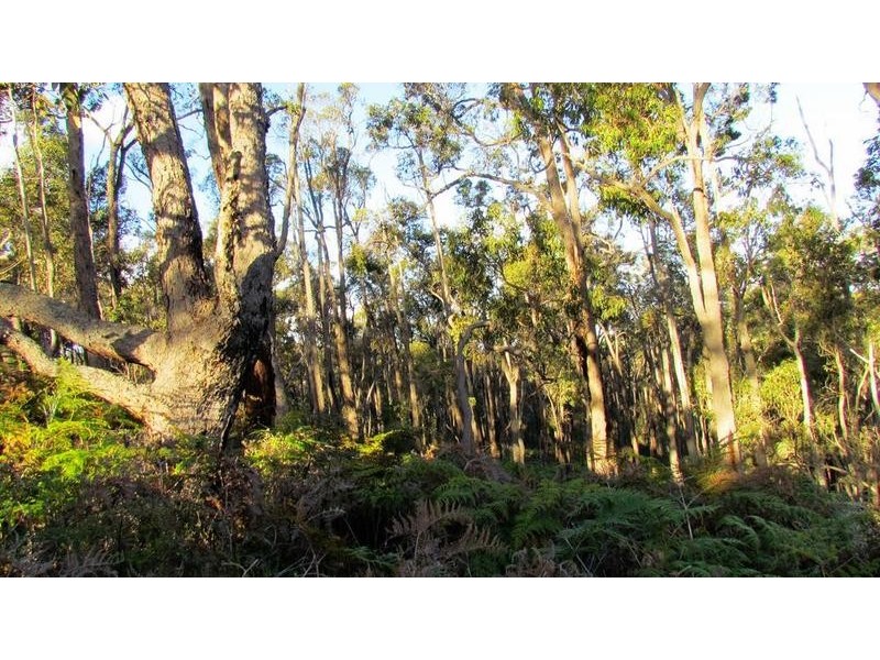 Lot 10 Harrison Road, Mayanup WA 6244