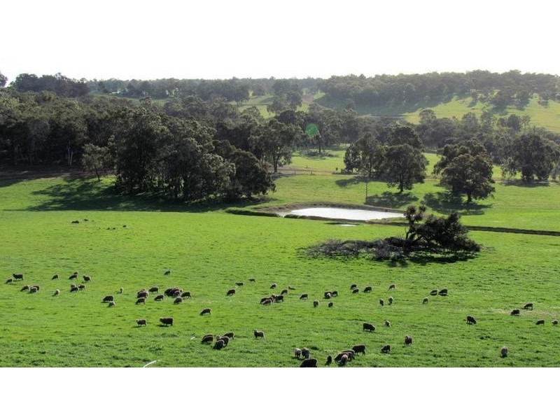 Lot 10 Harrison Road, Mayanup WA 6244