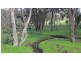 Lot 11 Harrison Road, Mayanup WA 6244