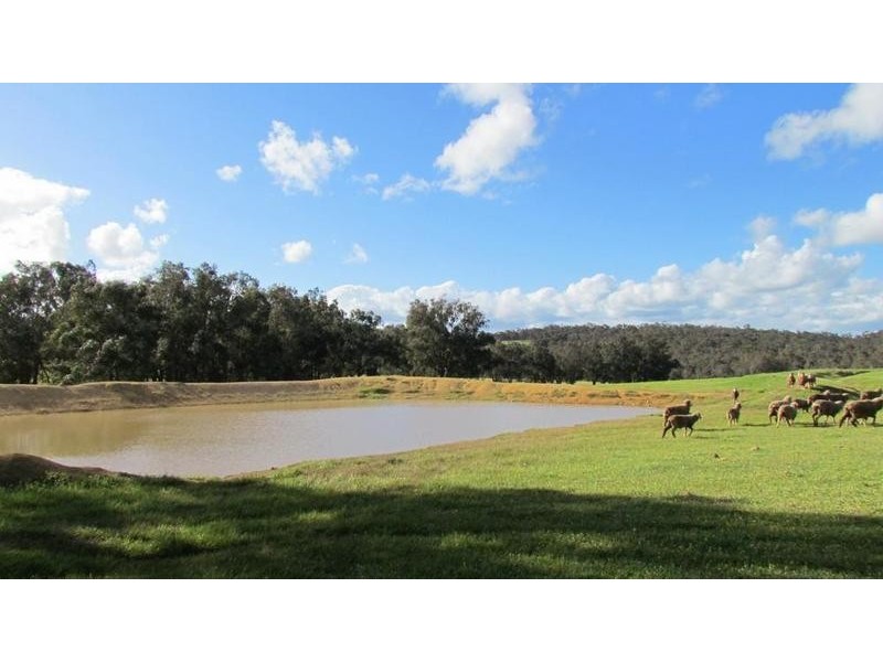 Lot 11 Harrison Road, Mayanup WA 6244