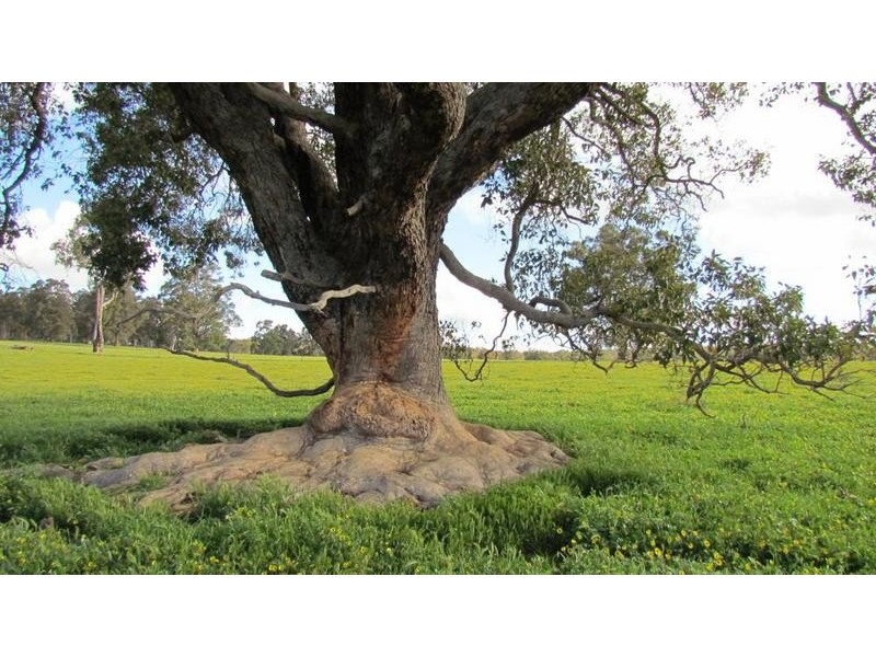 Lot 11 Harrison Road, Mayanup WA 6244