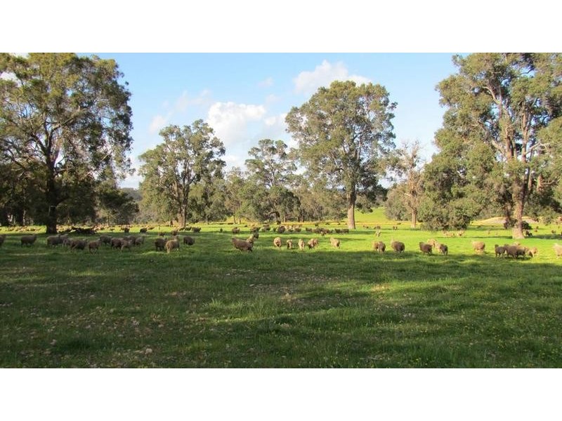 Lot 11 Harrison Road, Mayanup WA 6244