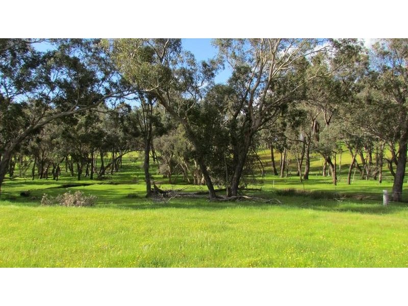 Lot 11 Harrison Road, Mayanup WA 6244