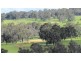Lot 11 Harrison Road, Mayanup WA 6244