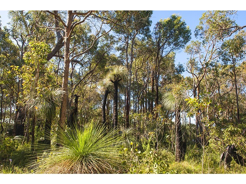 Lot 56, Proposed Blackbutt Close, Yallingup Siding WA 6282