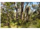 Lot 56, Proposed Blackbutt Close, Yallingup Siding WA 6282