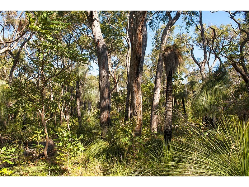 Lot 56, Proposed Blackbutt Close, Yallingup Siding WA 6282