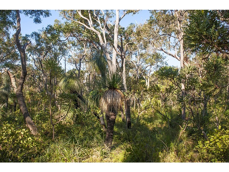 Lot 56, Proposed Blackbutt Close, Yallingup Siding WA 6282