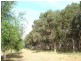 Vasse WA 6280