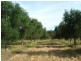 Vasse WA 6280