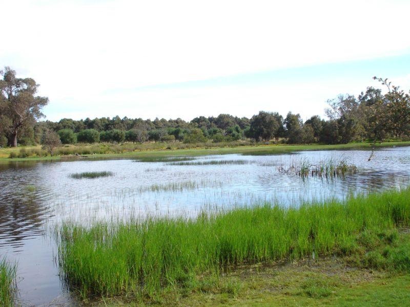 Vasse WA 6280
