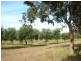 Vasse WA 6280