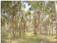 Vasse WA 6280