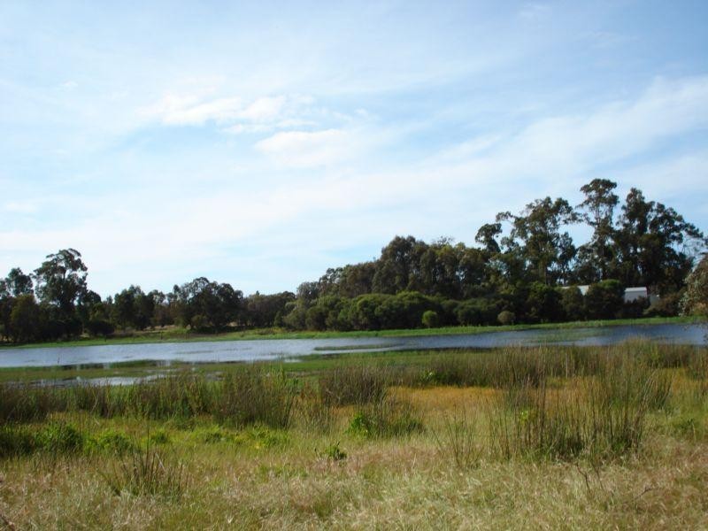 Vasse WA 6280
