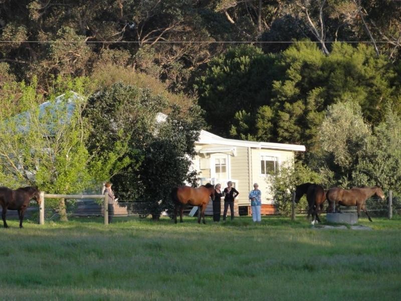 491 Warner Glen Road, Forest Grove WA 6286