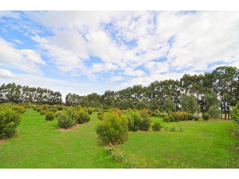 Wilyabrup WA 6280