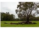 Chapman Hill WA 6280