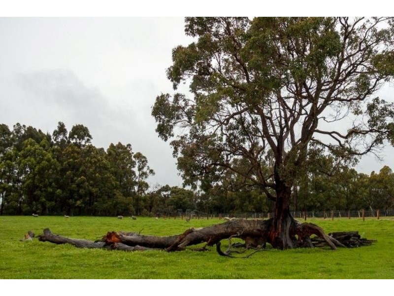 Chapman Hill WA 6280