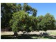 Chapman Hill WA 6280