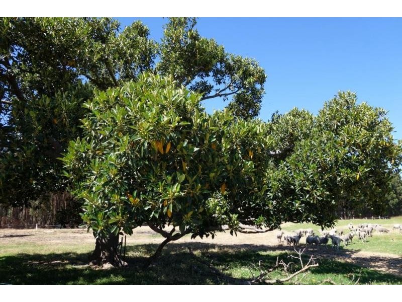 Chapman Hill WA 6280