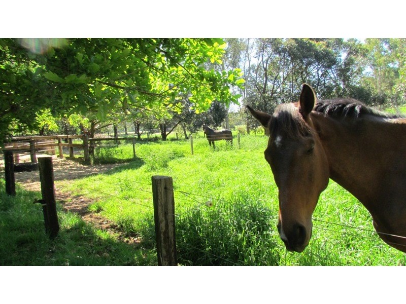 936 Ferguson Road, Ferguson WA 6236