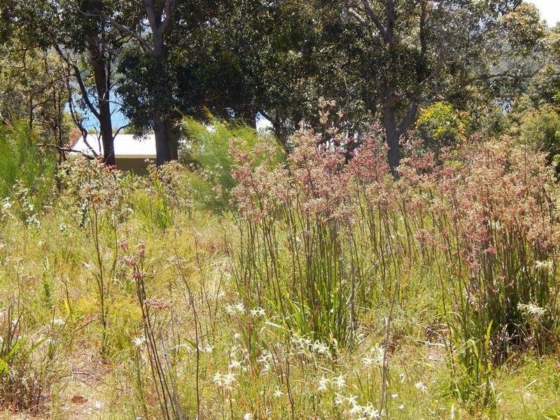 13 Hurford Place, Augusta WA 6290