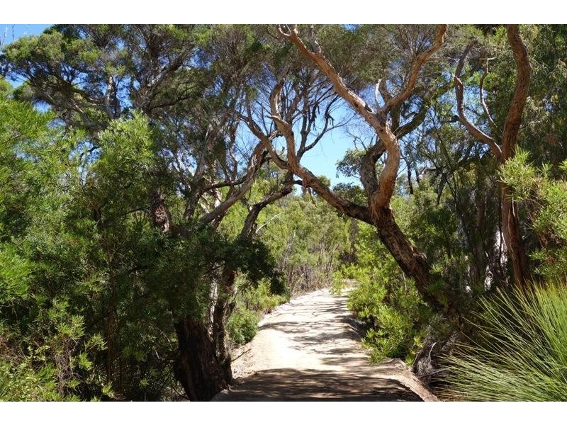 Lot 41, Proposed Cullen Road & Judd Road, Gracetown WA 6284