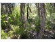 Lot 41, Proposed Cullen Road & Judd Road, Gracetown WA 6284