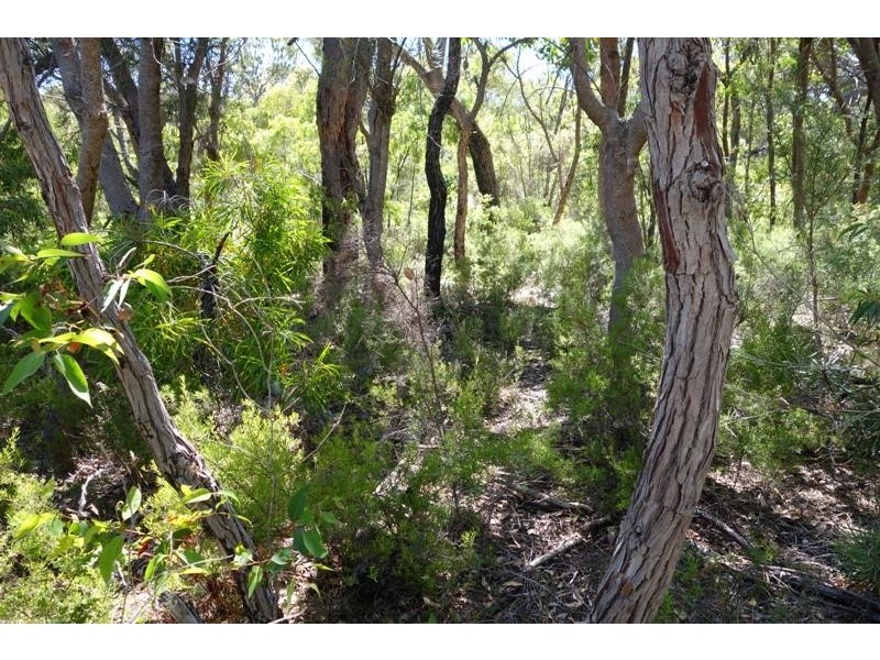 Lot 41, Proposed Cullen Road & Judd Road, Gracetown WA 6284