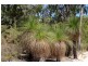 Lot 41, Proposed Cullen Road & Judd Road, Gracetown WA 6284