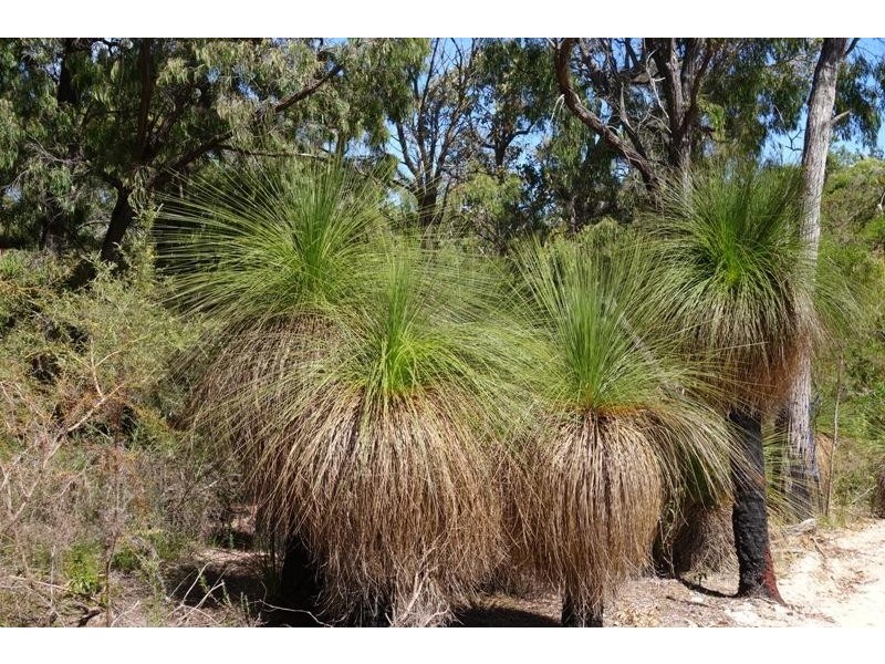 Lot 41, Proposed Cullen Road & Judd Road, Gracetown WA 6284
