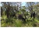 Lot 41, Proposed Cullen Road & Judd Road, Gracetown WA 6284
