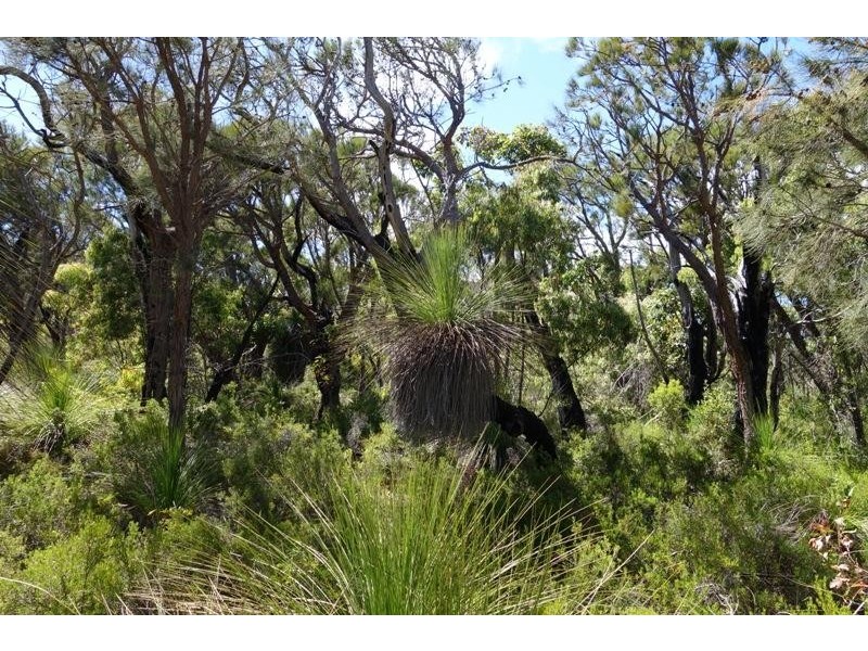 Lot 43, Proposed Cullen Road & Judd Road, Gracetown WA 6284