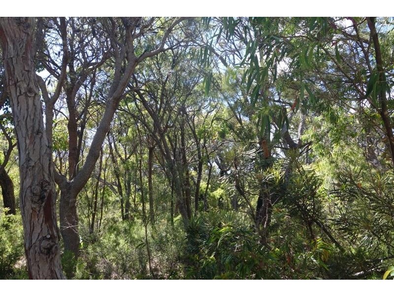 Lot 45, Proposed Cullen Road & Judd Road, Gracetown WA 6284