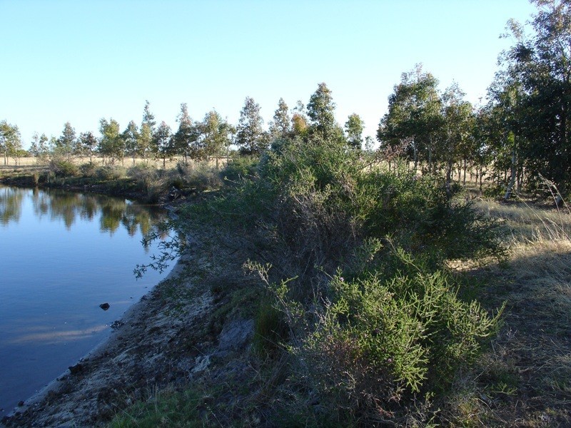 216 Sabina Road, Tutunup WA 6280