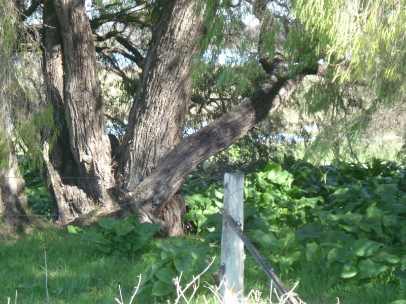 114 Broadwater Boulevard, Broadwater WA 6280