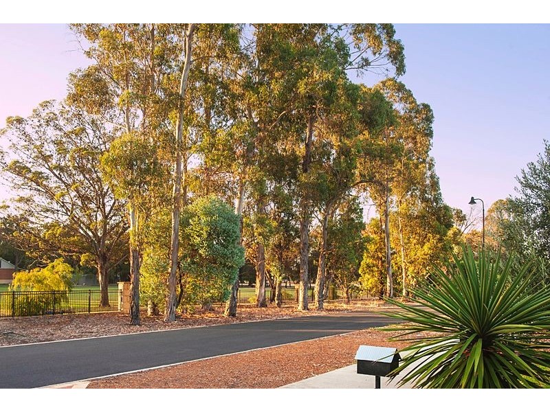 41 Arnup Drive, Vasse WA 6280