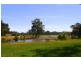 17 Georgiana Cross, Cowaramup WA 6284