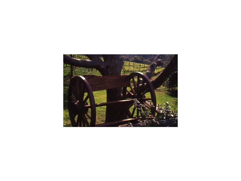 5950 Caves Road, Margaret River WA 6285