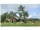 960 Bessell Road, Rosa Brook WA 6285