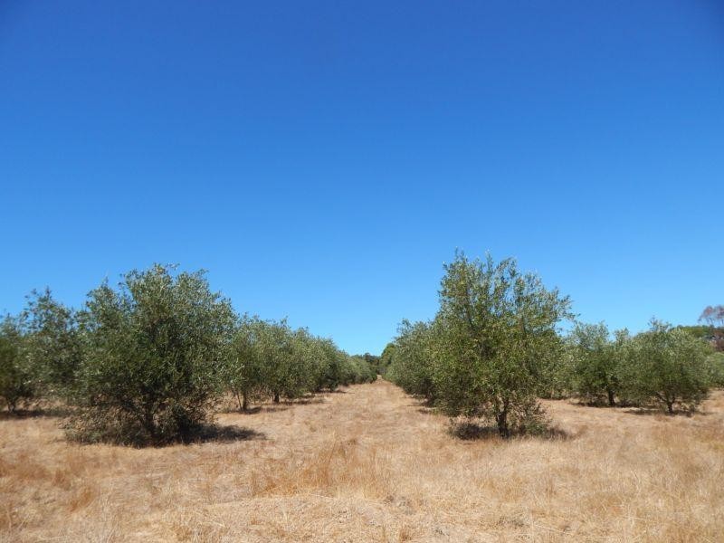 960 Bessell Road, Rosa Brook WA 6285