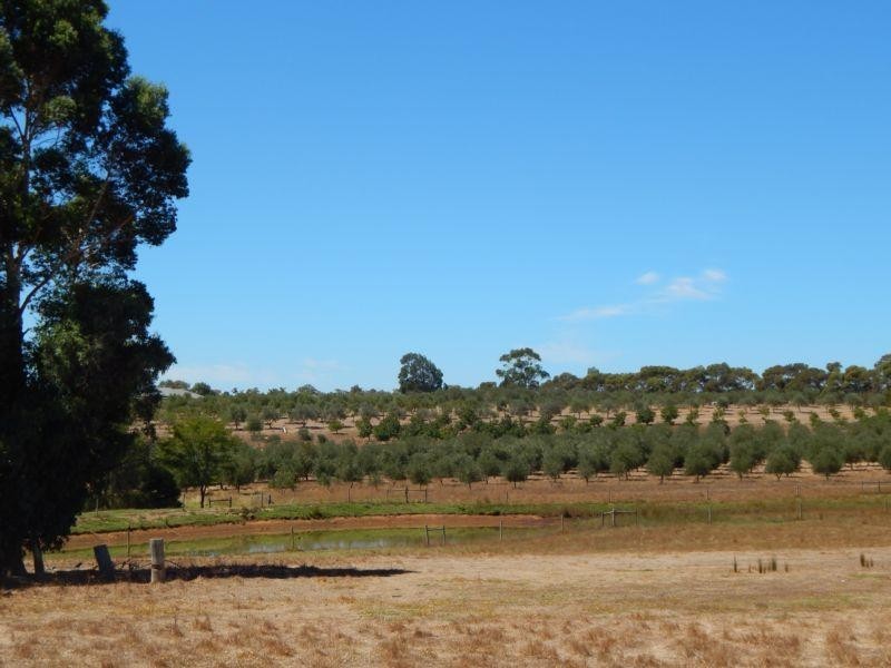 960 Bessell Road, Rosa Brook WA 6285