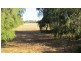 North Boyanup WA 6237