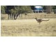 North Boyanup WA 6237