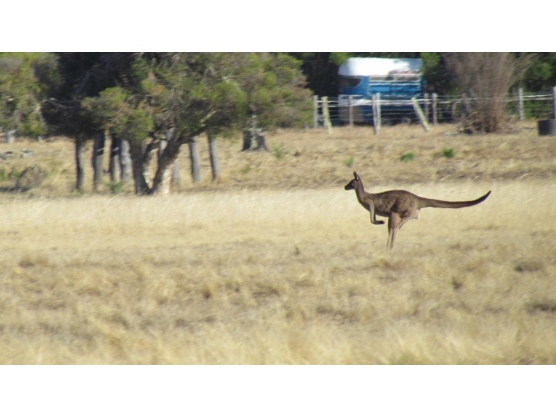 North Boyanup WA 6237